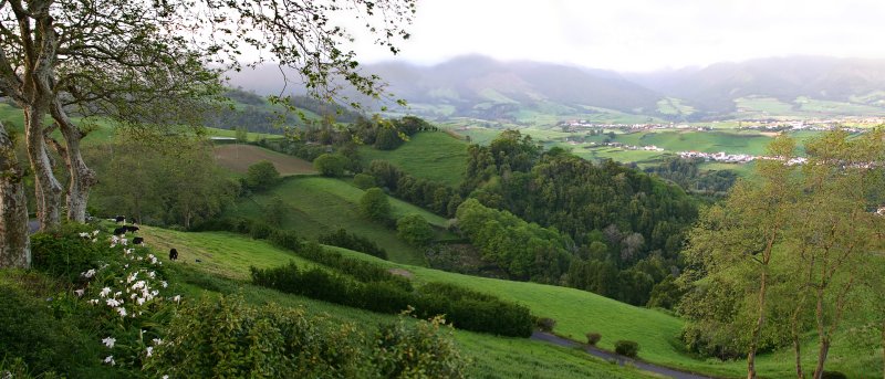 Pastoral Pano
