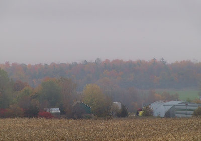 A Foggy Fall Day