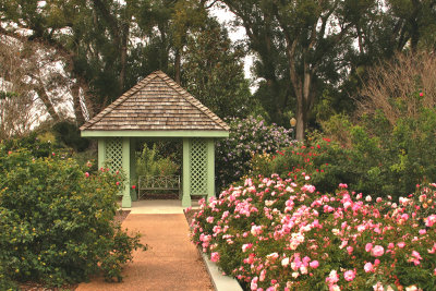 Garden Bench