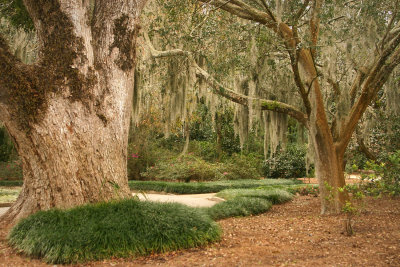 Enchanting Pathway