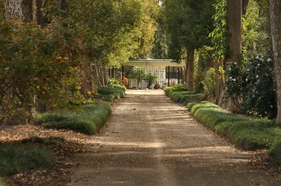 Lane's End