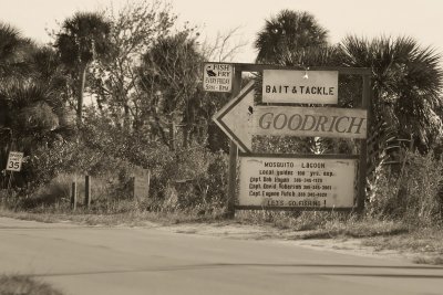 Signs Along The Way