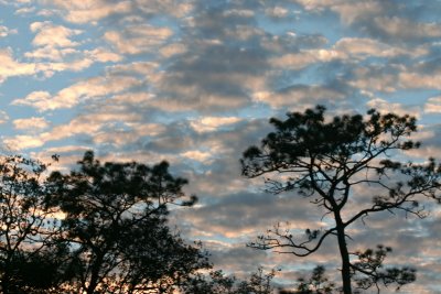 Busy Sky