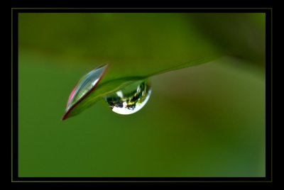 Droplets