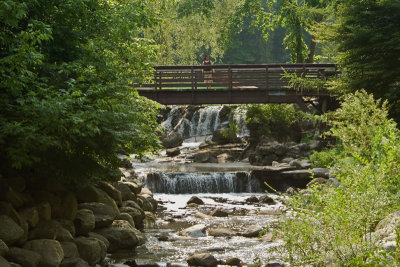 Lady On The Bridge