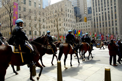 Rockefeller Plaza, horses