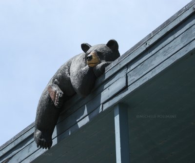 bear in North Tahoe 0060 4-27-07.jpg