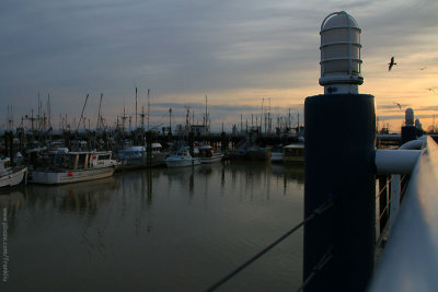 Pier at Stevenston