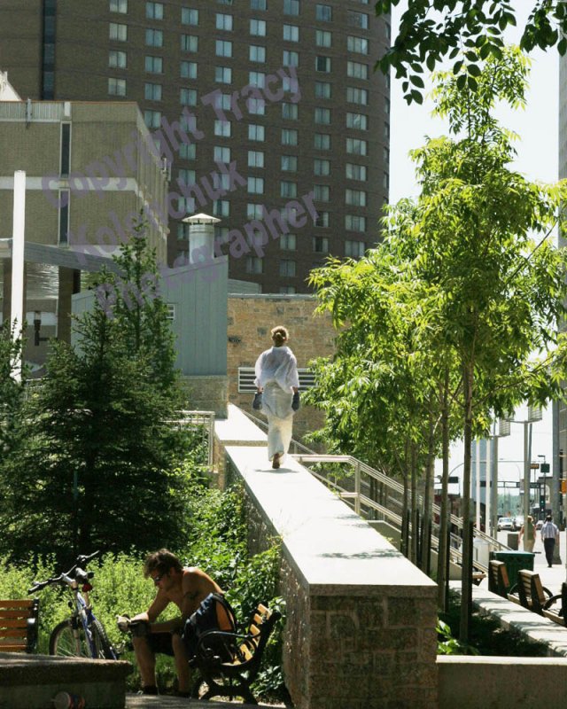 IMG_6056 Ingvild Vaagsether - Ivy Escapes The City