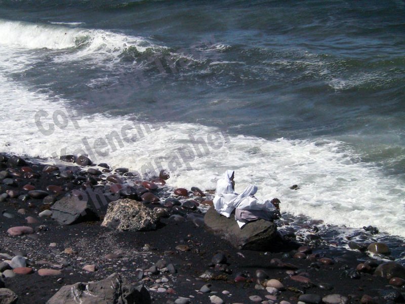 169-6996 Pacific Nuns