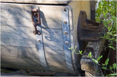 Old Trunk