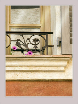 Pink flowers in Window