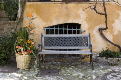 Bench & Flower Basket
