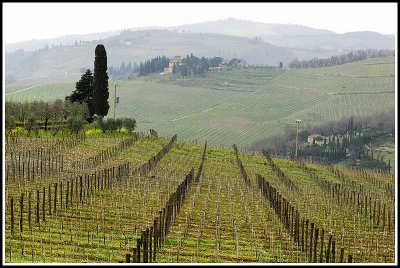 Panzano in Chianti