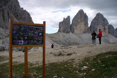 IMG_4596.JPG