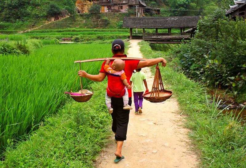 4164 Taking prepared rice for new drum tower dedication. *** Information on the wind rain bridge.***