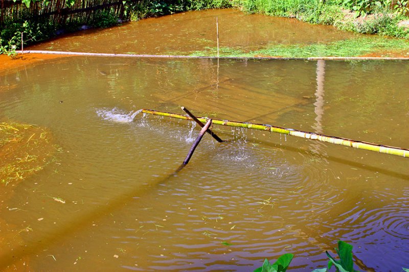 0400 Aerating a pond.