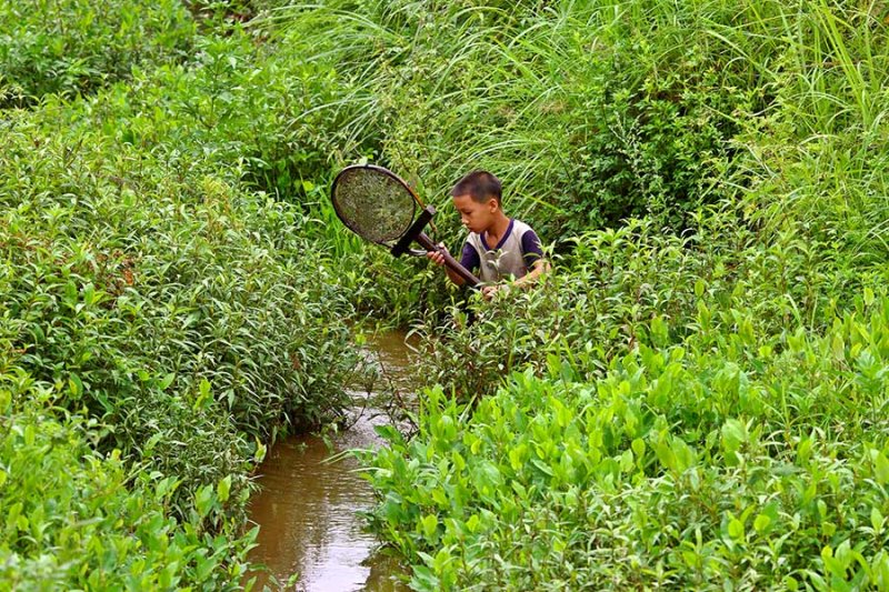 1202 No stream is too small. This young boy works for hours to catch fish for his family.