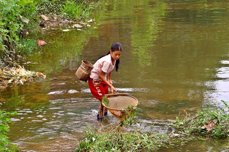 1210 Young girl netting fish.