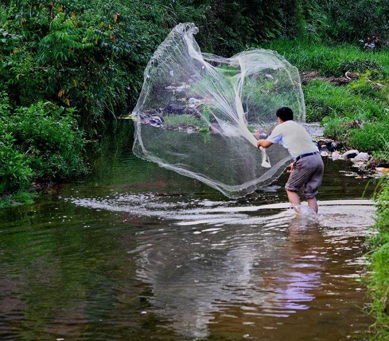 3582 Casting a weighted net for the small steam fish.