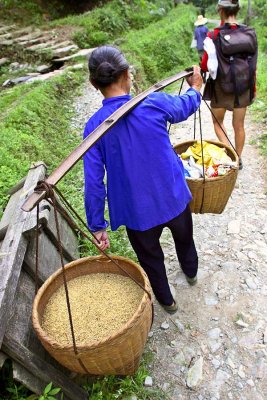 0331 Carrying rice to be cleaned and hulled.