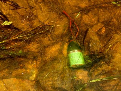 2585 Pesticide bottle in the main local stream.