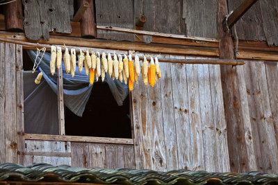 2712 The drying of corn.