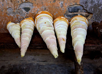 2271 Fresh bamboo shoots trimmed  that will be sliced and cooked.