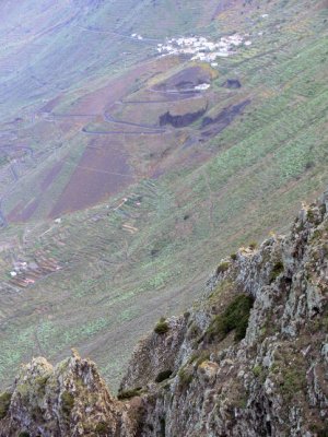 Sabinosa