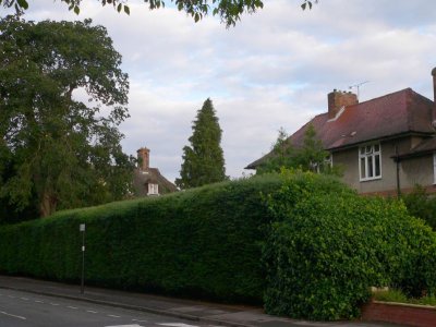 6-28-2007 006.jpg