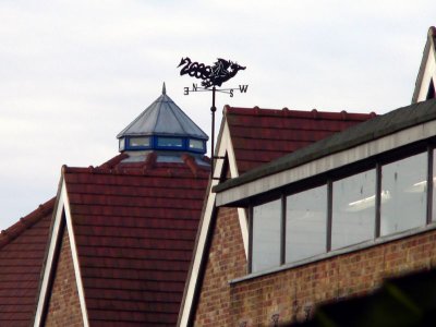 6-28-2007 026.jpg