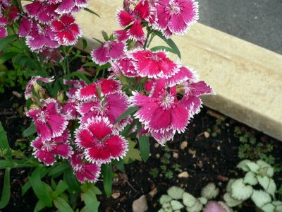 6-28-2007 030.jpg