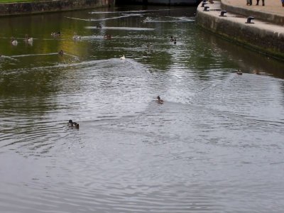 6-30-2007 040.jpg