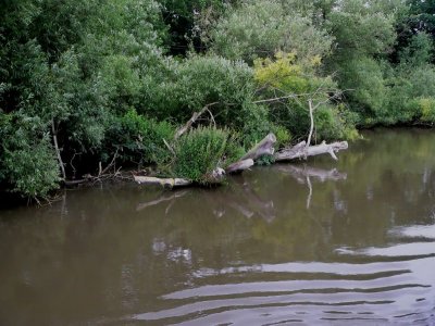 6-30-2007 055.jpg
