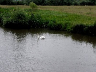 6-30-2007 057.jpg