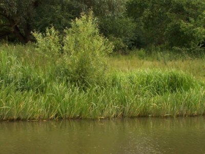 6-30-2007 095.jpg