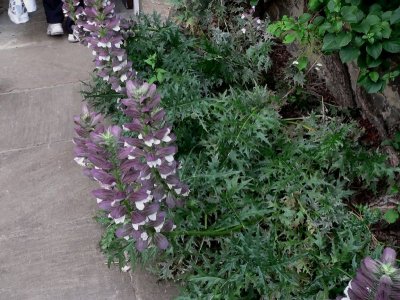 7-04-2007 168.jpg