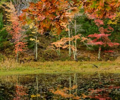 Codat Lake Area