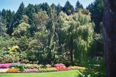 Vancouver Island, Butchart Gardens