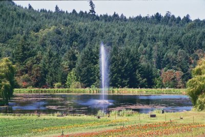 Vancouver Island, Butchart Gardens