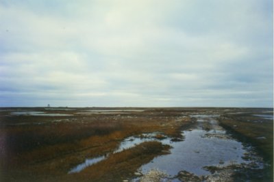 Hudson Bay area