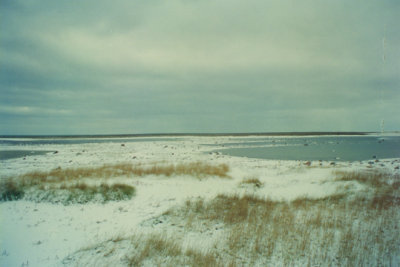View of Hudson Bay Tundra