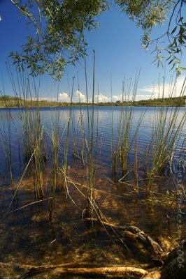 Brown Lake - Stradbroke Island II