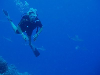 North Horn Osprey Reef  & Shark feed day 2 (55)