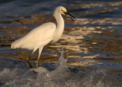 DSC_2255.jpg
