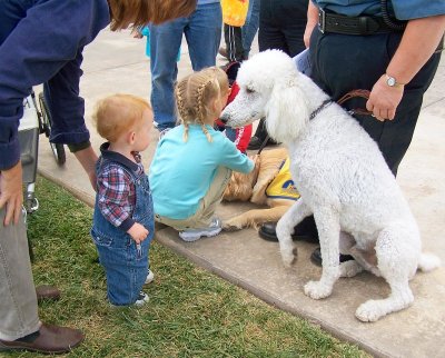 Cute Toddler and MPD Dog