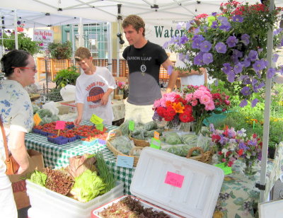 Summer Bounty