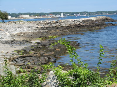 View with Foliage