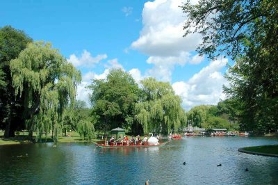 Swan Boats on Boston Common