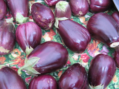 Eggplants on Parade